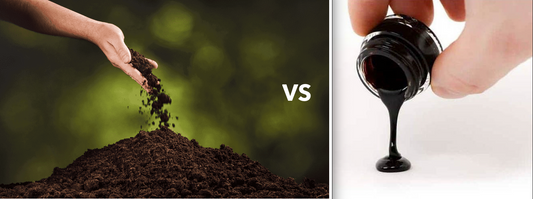 Fulvic Acid vs. Shilajit: Understanding the Differences and Making the Right Choice