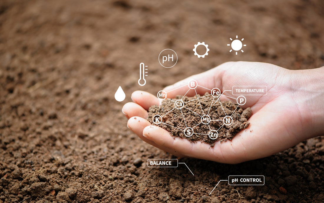 What is humic and is it good for me?