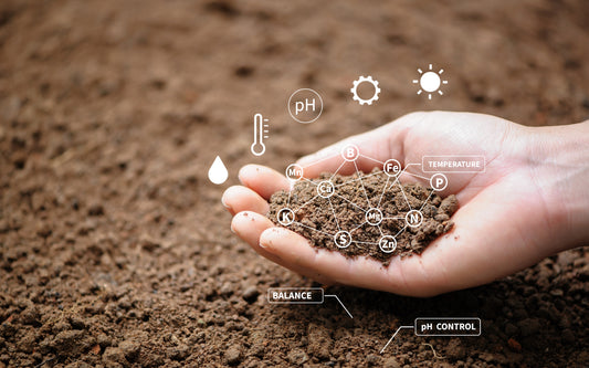 What is humic and is it good for me?