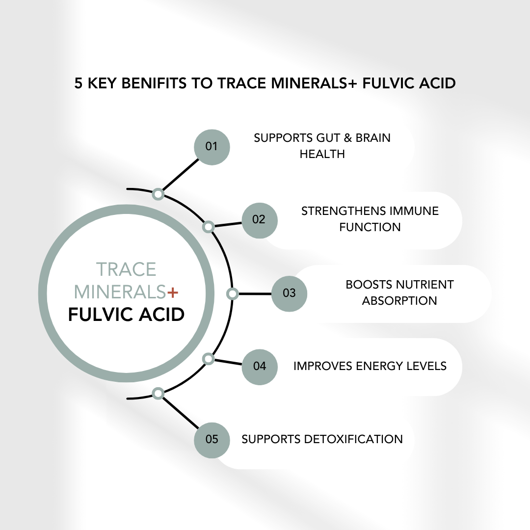 Trace Minerals + Fulvic Acid (32oz)